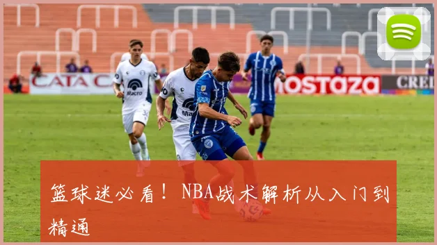篮球迷必看！NBA战术解析从入门到精通