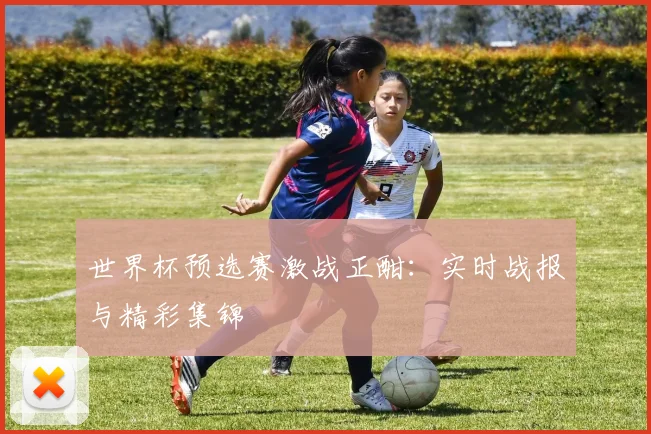 世界杯预选赛激战正酣：实时战报与精彩集锦