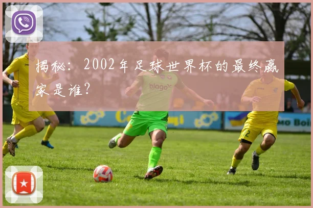 揭秘：2002年足球世界杯的最终赢家是谁？