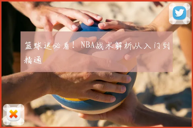 篮球迷必看！NBA战术解析从入门到精通