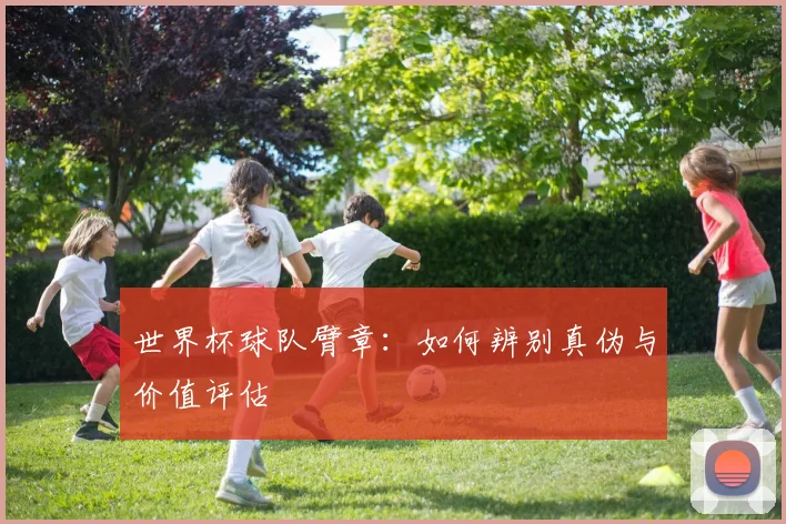 世界杯球队臂章：如何辨别真伪与价值评估